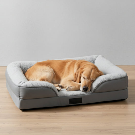 Orthopedic Dog Bed