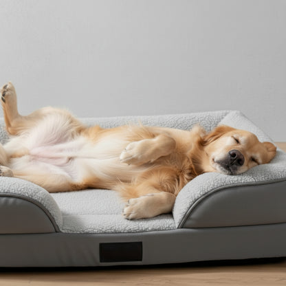 Orthopedic Dog Bed