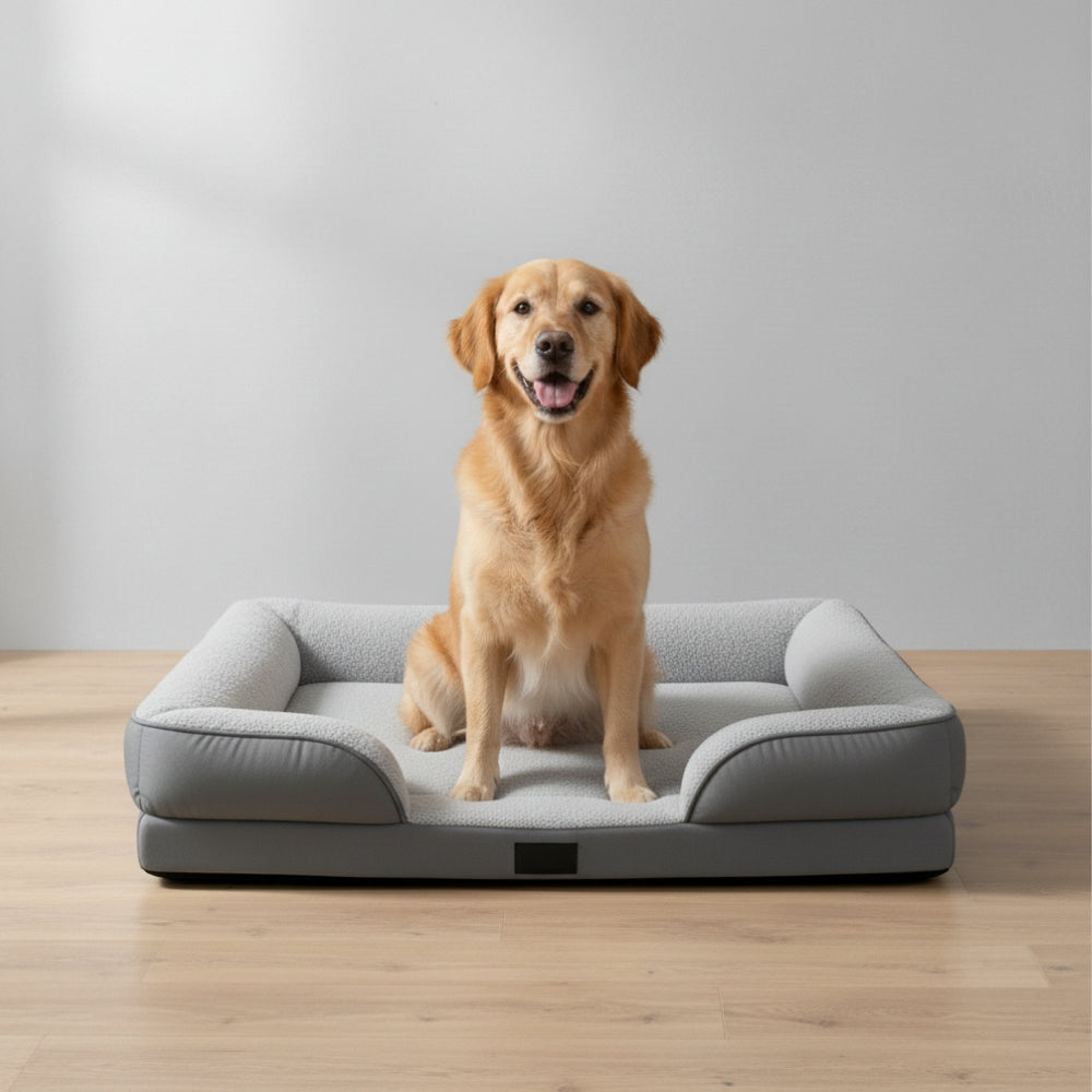Orthopedic Dog Bed